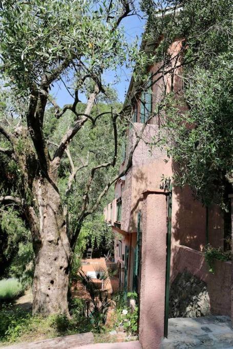 Mas Thomasine Séjour Romantique au calme Peillon Exterior foto