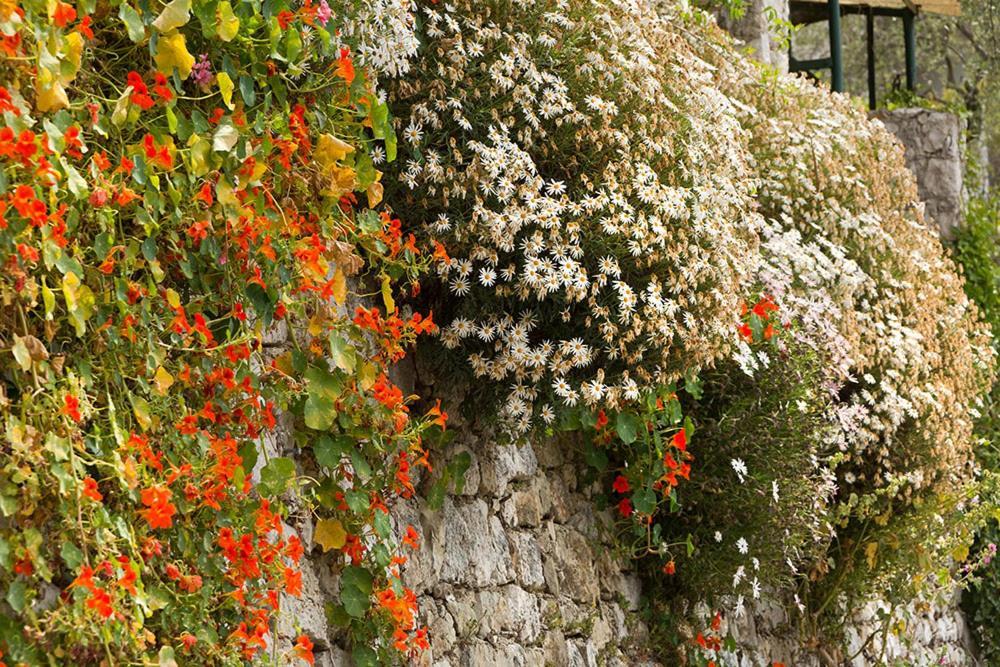 Mas Thomasine Séjour Romantique au calme Peillon Exterior foto